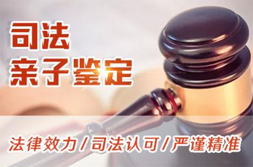 文山司法亲子鉴定怎么收费,